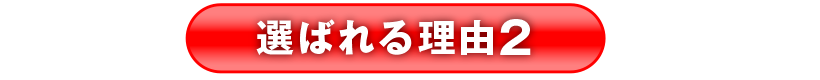 選ばれる理由2